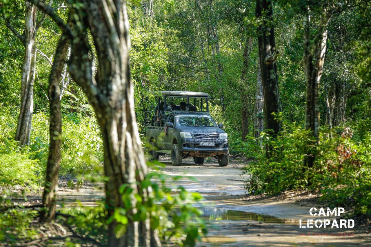 Camp Leopard - Yala Safari Glamping Ξενοδοχείο Εξωτερικό φωτογραφία