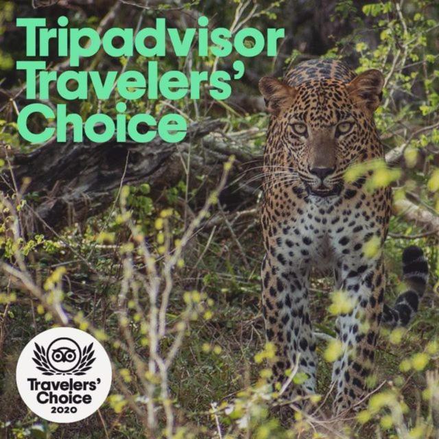 Camp Leopard - Yala Safari Glamping Ξενοδοχείο Εξωτερικό φωτογραφία
