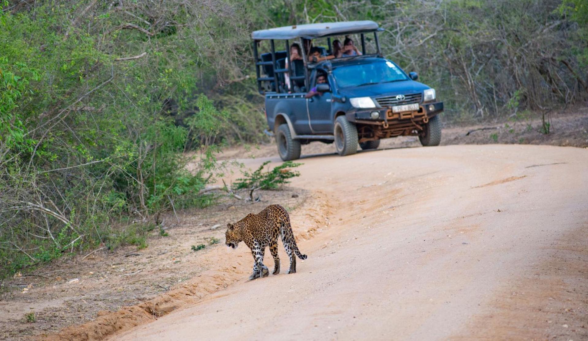 Camp Leopard - Yala Safari Glamping Ξενοδοχείο Εξωτερικό φωτογραφία