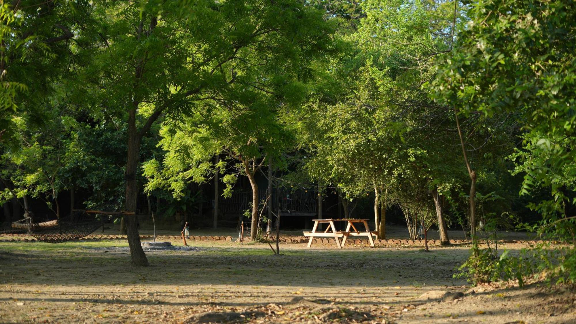 Camp Leopard - Yala Safari Glamping Ξενοδοχείο Εξωτερικό φωτογραφία