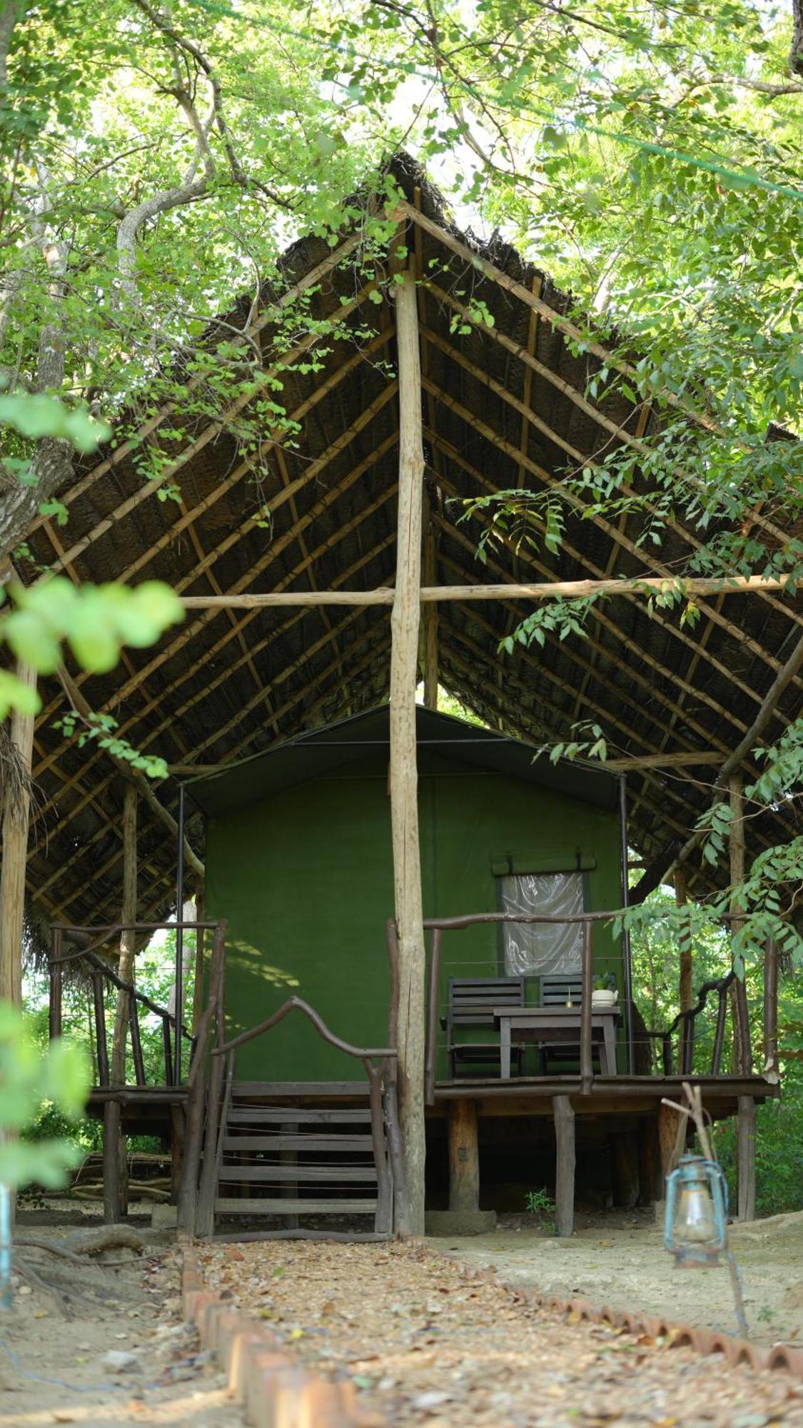 Camp Leopard - Yala Safari Glamping Ξενοδοχείο Εξωτερικό φωτογραφία