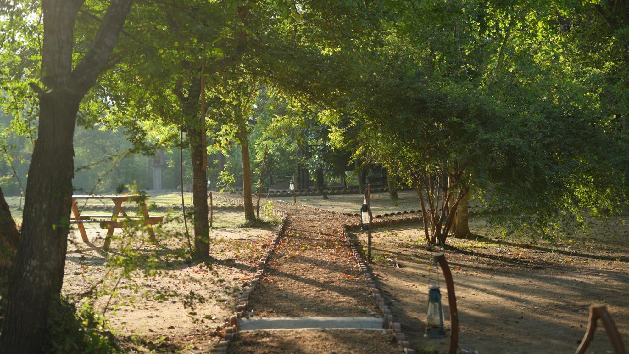 Camp Leopard - Yala Safari Glamping Ξενοδοχείο Εξωτερικό φωτογραφία